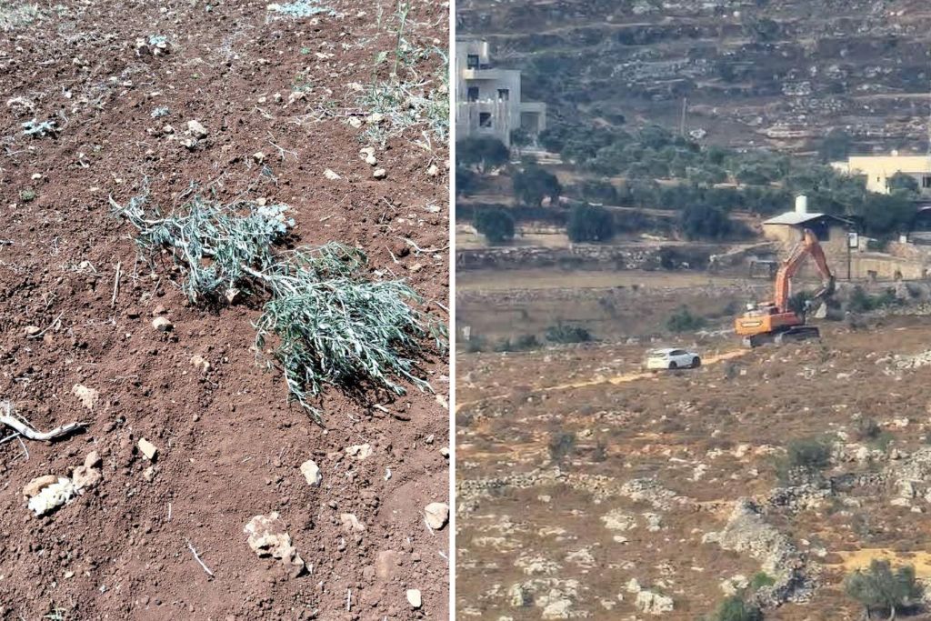 مستوطنون  يواصلون أعمال تجريف في أراضي عقربا