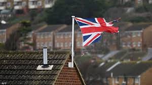 الصراصير والسمك والفئران تهدد مباني بريطانيا