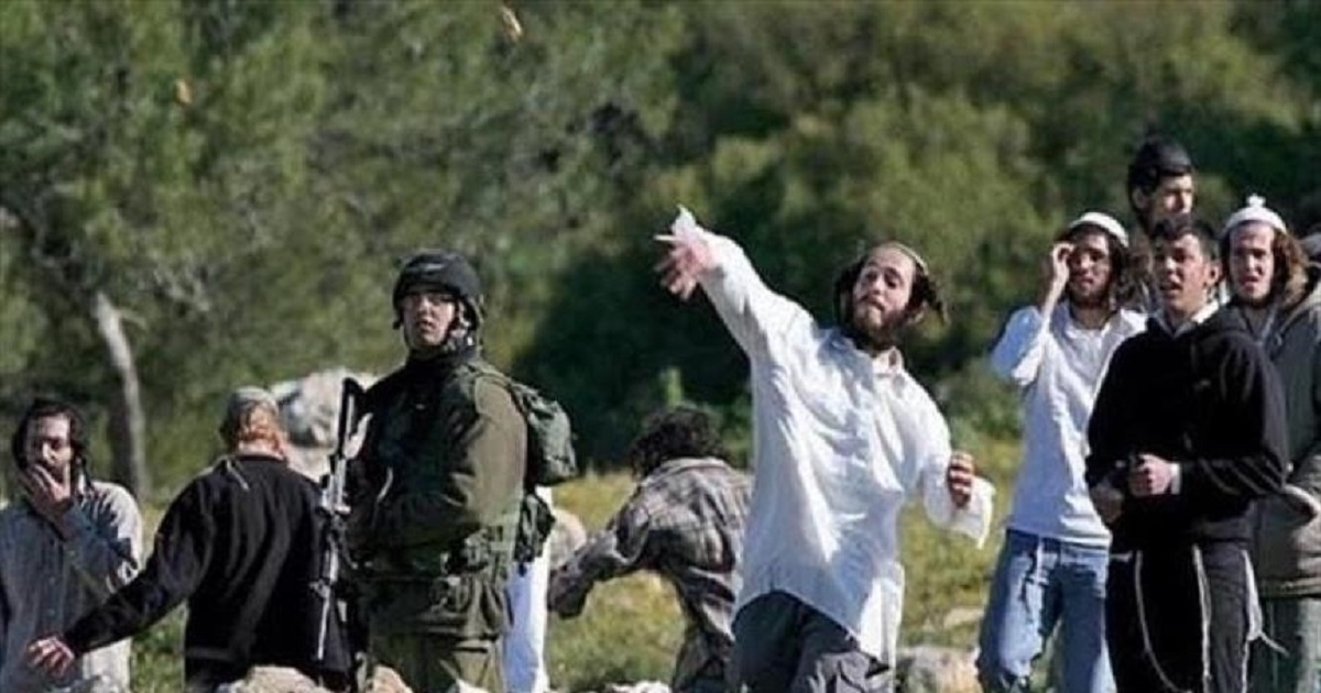 مستوطنون يهاجمون شقيقتين من ذوي الإعاقة على مدخل بلدة سعير  