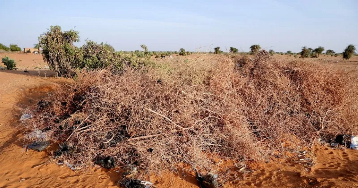 هجمات مكثفة بطائرات مسيرة مع اقتراب الحرب الأهلية من الأُبيّض بوسط السودان