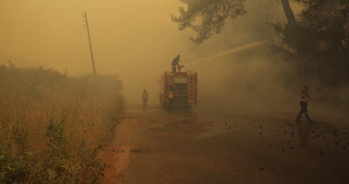 سوريا تعلن إخماد حرائق اللاذقية