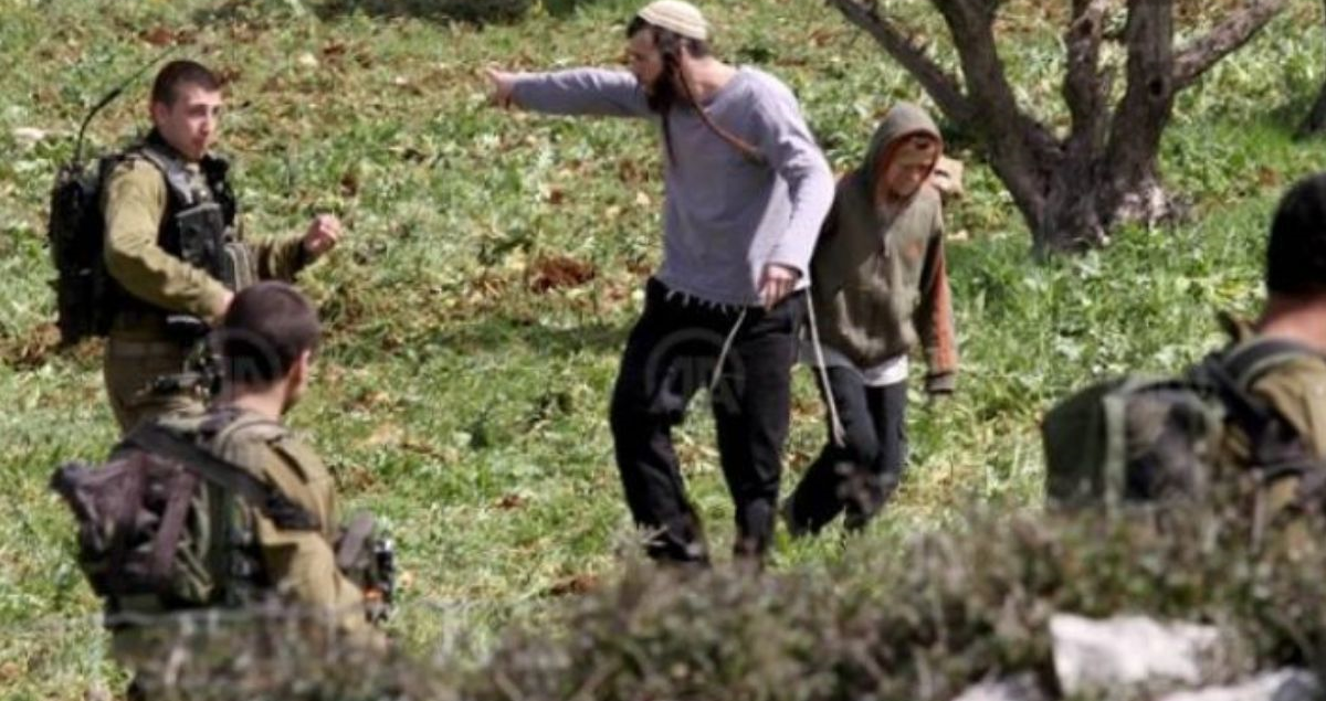 اقتحامات في الخليل ونابلس... وتصاعد هجمات المستوطنين