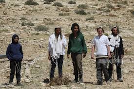 إصابة مواطنة حامل برضوض في هجوم للمستوطنين على مسافر يطا