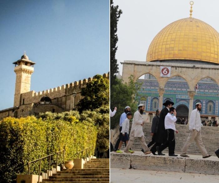 الاحتلال اقتحم المسجد الأقصى المبارك 28 مرة، ومنع رفع الأذان في الحرم الإبراهيمي 57 وقتاً خلال شهر كانون الثاني