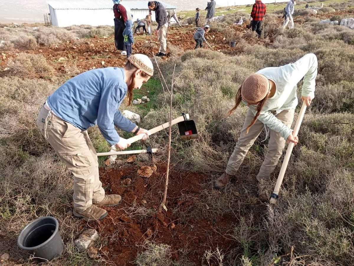 الاحتلال يصادق على تشييدوشرعنة 140 بؤرة استيطانية في الضفة الغربية