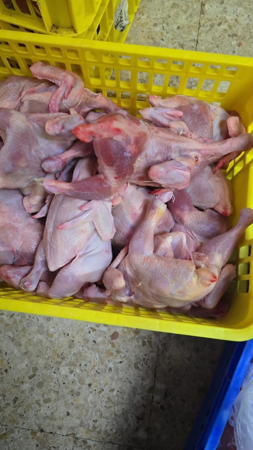 ضبط 3 أطنان من الدجاج المجمد المخالف في ضواحي القدس