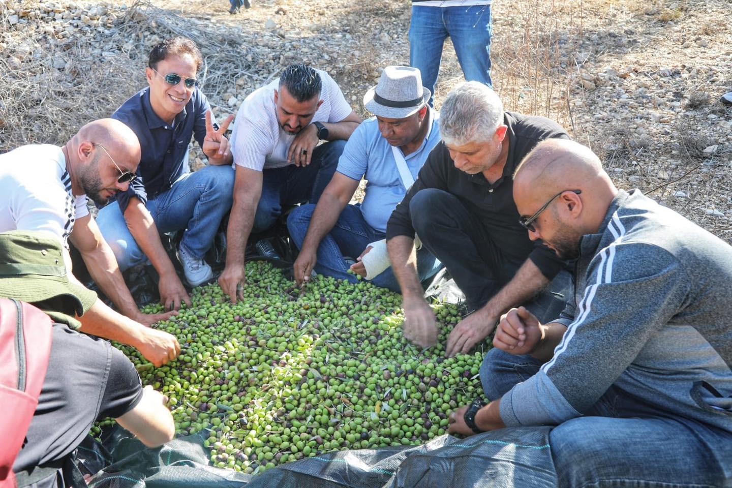 "مقاومة الجدار" تصل إلى أراضي تل جنوب نابلس بعد حرمان 10 سنوات