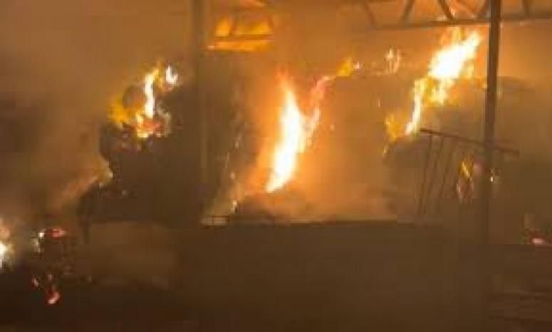 مستوطنون يحطمون منزلا  في سلواد  ويحرقون بركسا زراعيا في مخماس