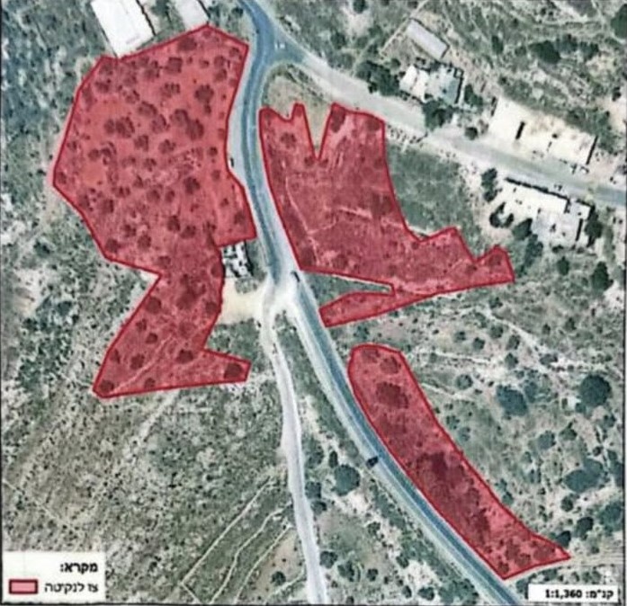  الاحتلال يصدر قرارا باقتلاع أشجار من أراضي راس كركر وكفر نعمة