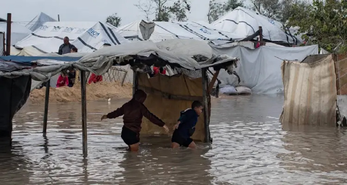 ”أمنستي” تحمل إسرائيل مسؤولية الكارثة في غزة  وتدعو لوقف “الإبادة”